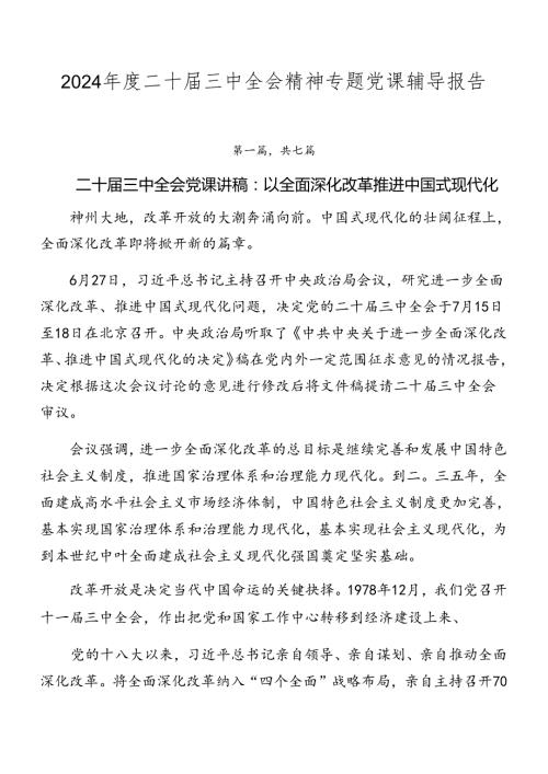 2024二十三中全会精神专题党课辅导报告.docx