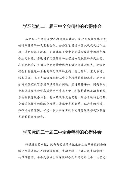 党员干部关于党的二十三中全会精神的学习感悟三十篇.docx
