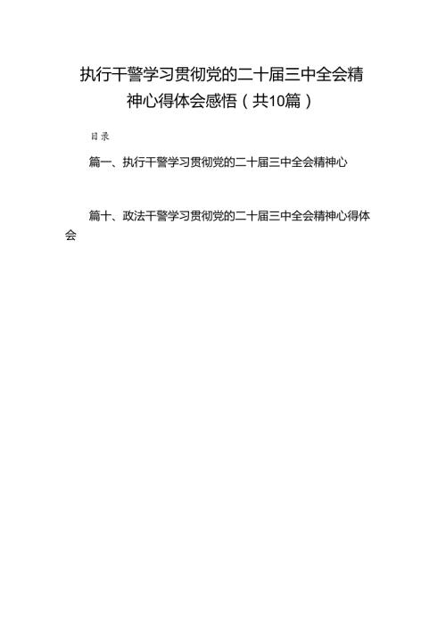 执行干警学习贯彻党的二十三中全会精神心得体会感悟10篇（详细版）.docx