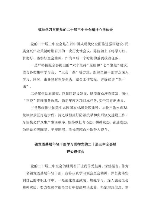 镇长学习贯彻党的二十三中全会精神心得体会8篇（最新版）.docx