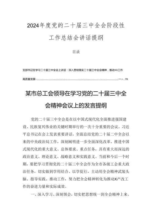 2024党的二十三中全会阶段性工作总结会讲话提纲.docx