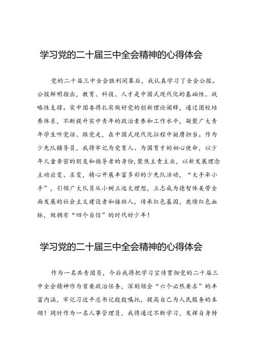 2024年党的二十三中全会精神学习感悟优秀范文三十篇.docx
