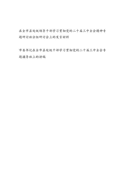 在全市县处级领导干部学习贯彻党的二十三中全会精神专题研讨班分组研讨会上的发言材料和宣讲报告党课讲稿.docx