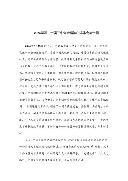 2024学习二十三中全会精神心得体会集合篇.docx