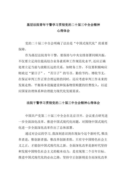 （12篇）基层法院青年干警学习贯彻党的二十三中全会精神心得体会（详细版）.docx