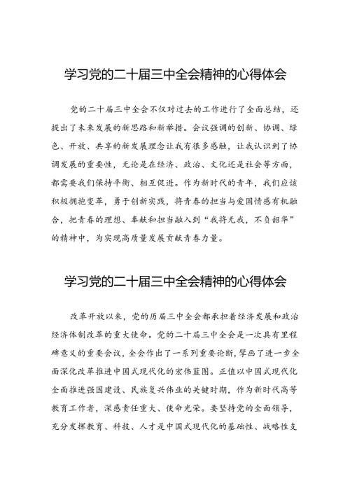 学习党的二十三中全会的心得体会发言材料二十六篇.docx