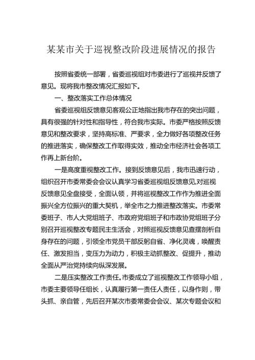 某某市关于巡视整改阶段进展情况的报告.docx