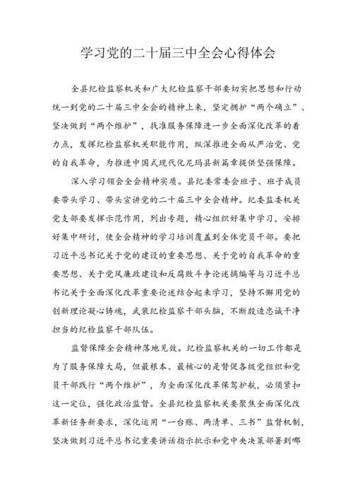 学习2024年学习党的二十三中全会个人心得感悟 （4份）.docx