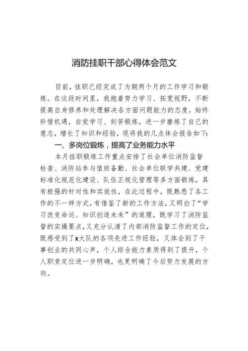 消防挂职干部心得体会发言材料.docx