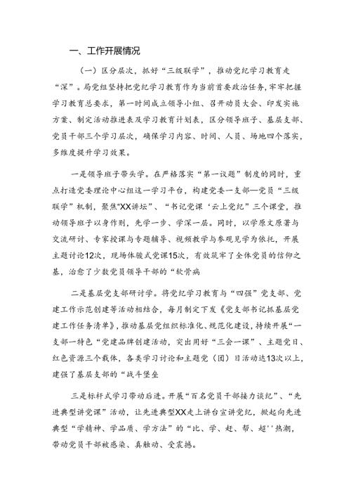 2024年党纪集中教育工作自查报告含成效亮点共10篇.docx