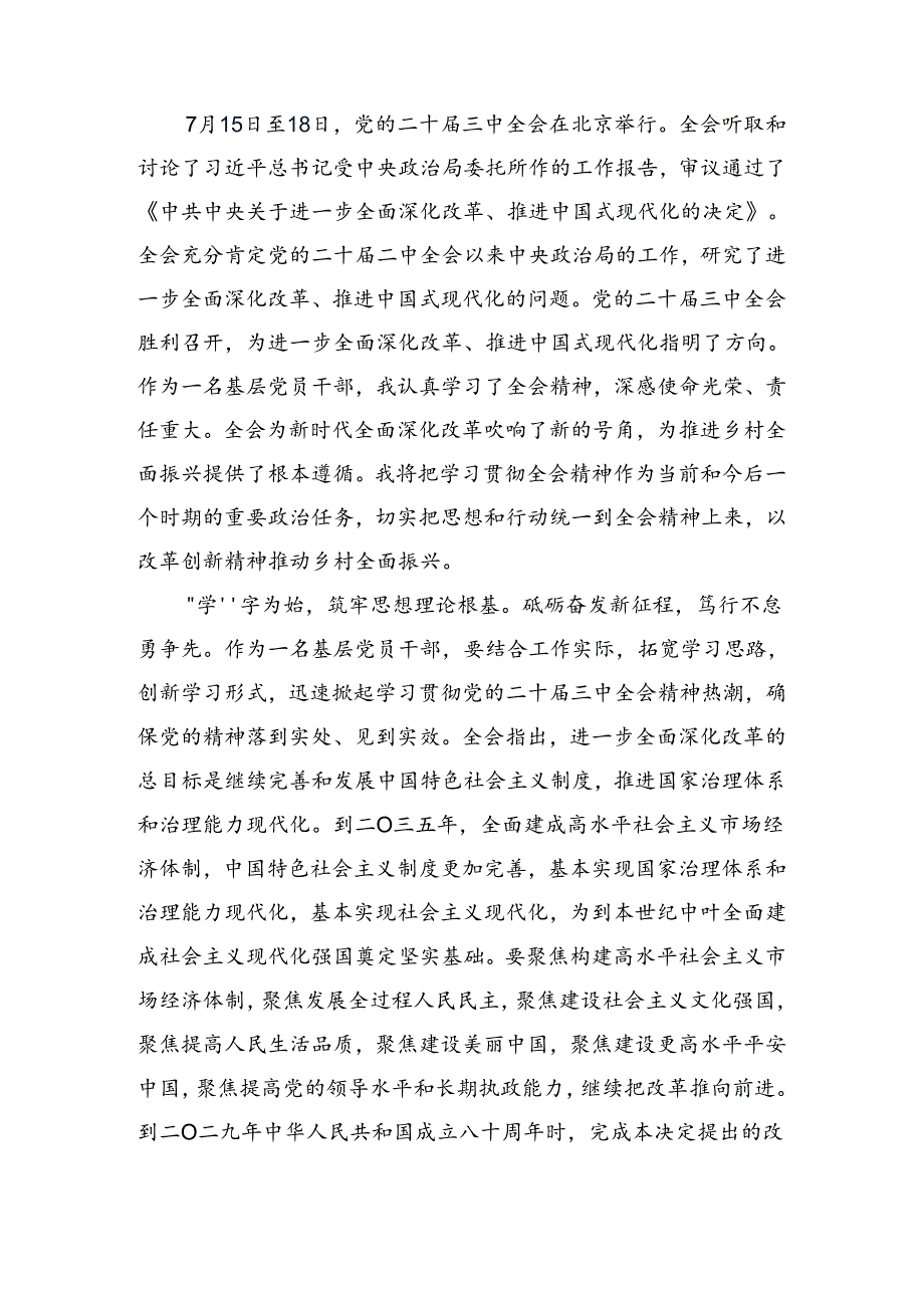 2024学习二十三中全会的研讨发言提纲.docx_第3页