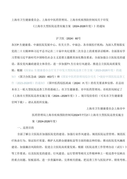 《上海市大型医院巡查实施方案(2024―2026)》.docx
