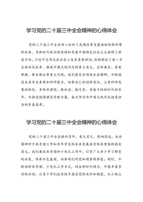 关于二十三中全会精神的心得体会合集.docx