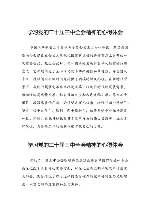 党员2024年学习贯彻党的二十三中全会精神的心得感悟28篇.docx