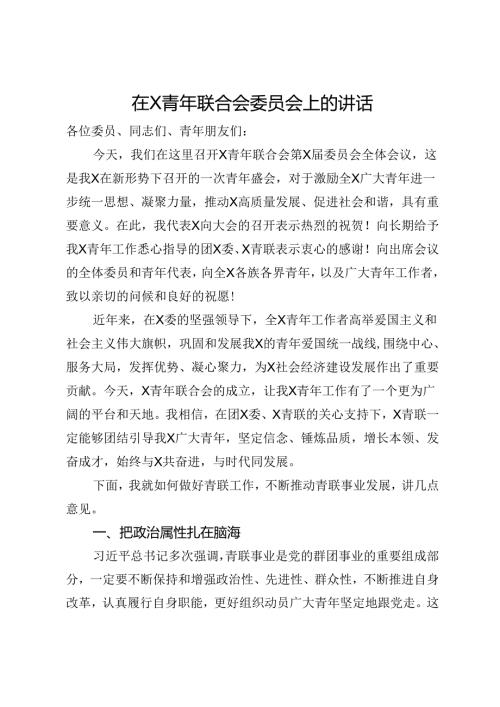 在青年联合会委员会上的讲话(1).docx