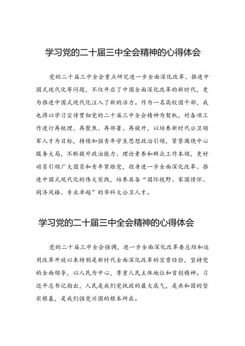 学习二十三中全会心得体会简短发言材料二十六篇.docx