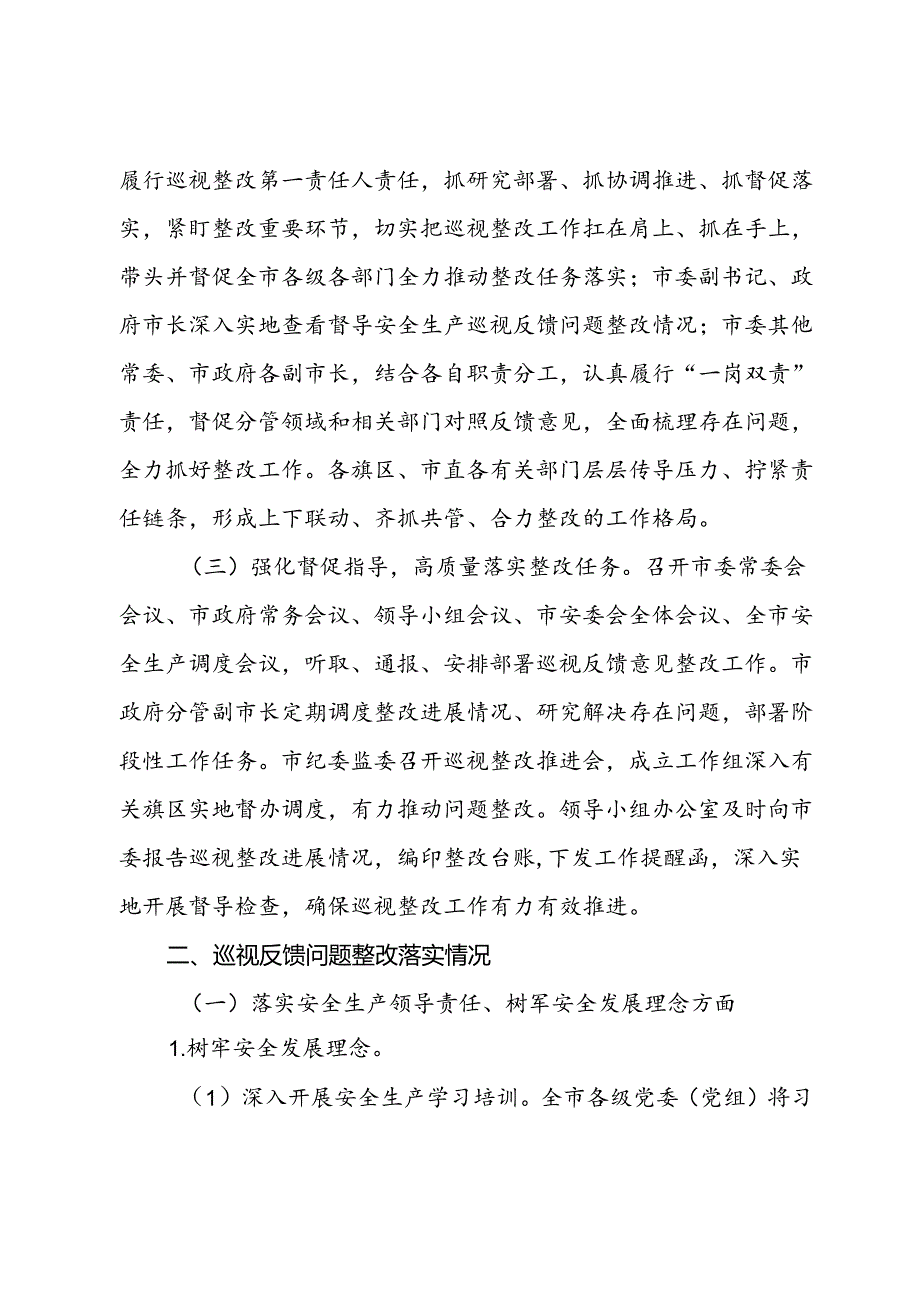 某市关于安全生产工作专项巡视整改进展情况的报告(1).docx_第2页