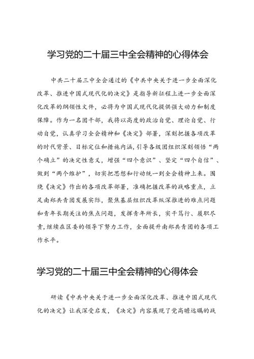 2024年二十三中全会精神的心得体会汇编三十篇.docx
