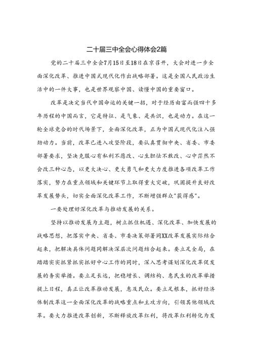 二十三中全会心得体会2篇.docx