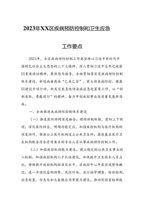 2023 年XX区疾病预防控制和卫生应急工作要点.docx