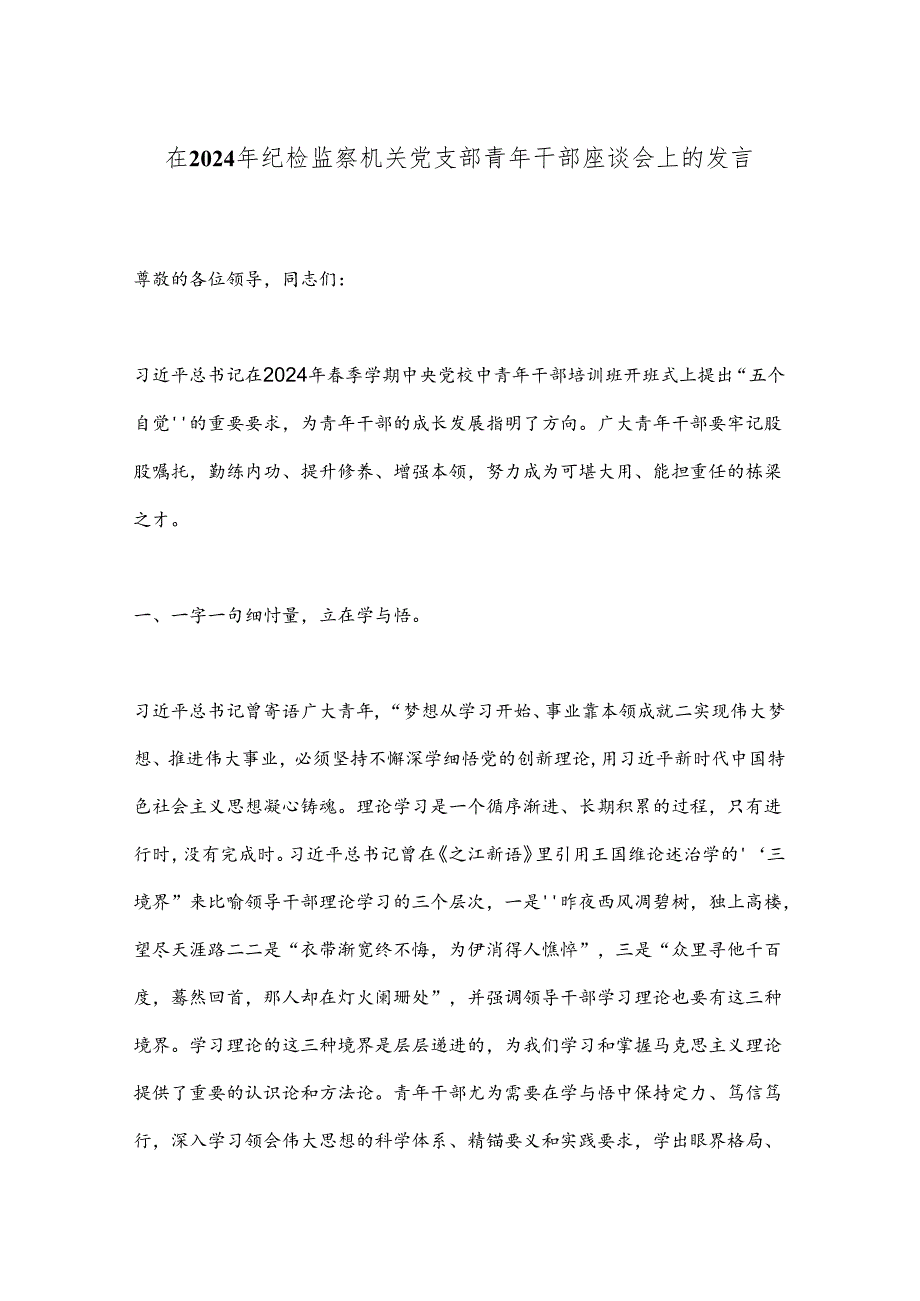 在2024年纪检监察机关党支部青年干部座谈会上的发言.docx_第1页