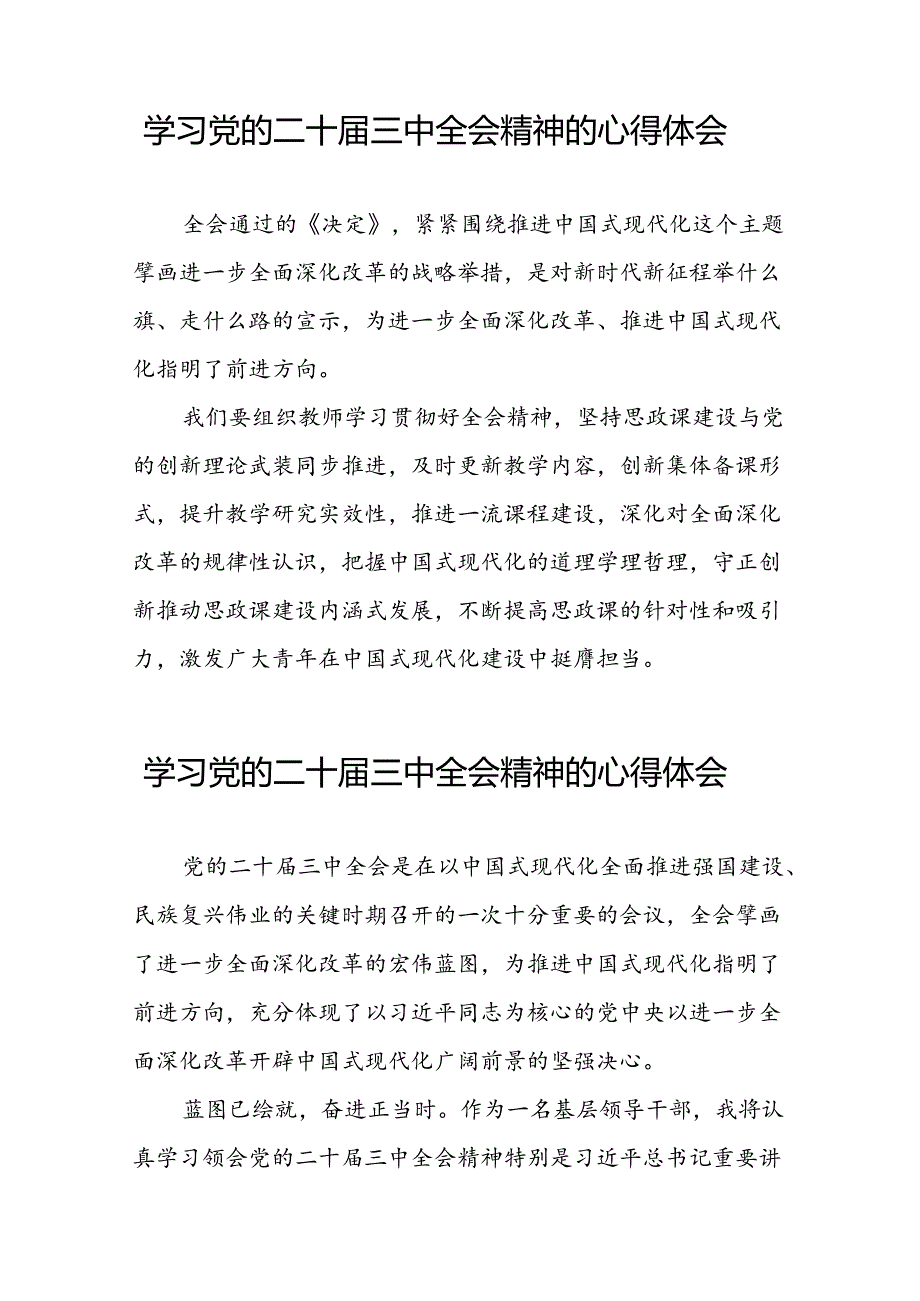 2024年党的二十三中全会精神学习体会研讨交流发言材料28篇.docx_第3页
