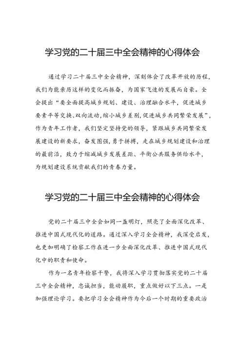 关于二十三中全会精神的心得体会简短发言39篇.docx