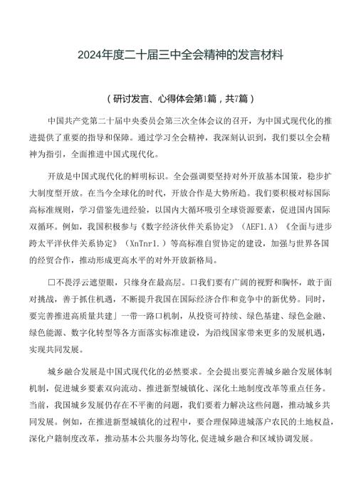 2024二十三中全会精神的发言材料.docx