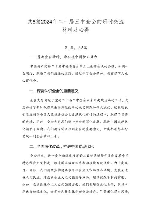 共8篇2024年二十三中全会的研讨交流材料及心得.docx