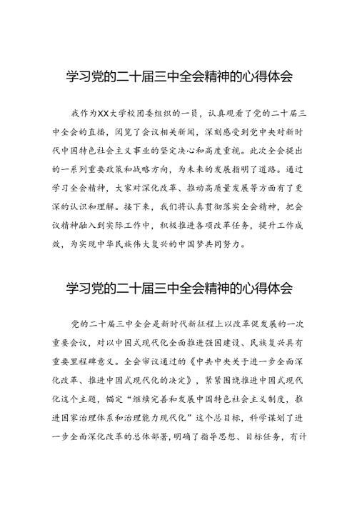 教师党员关于二十三中全会精神心得感悟39篇.docx
