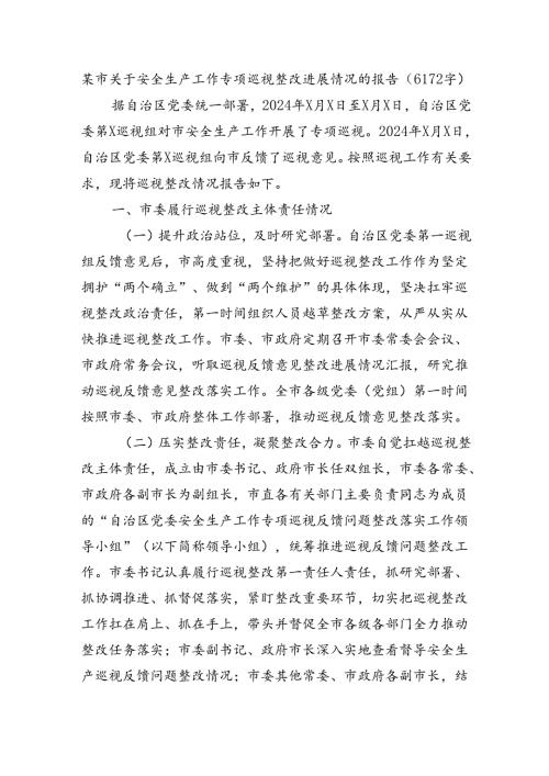某市关于安全生产工作专项巡视整改进展情况的报告（6172字）.docx