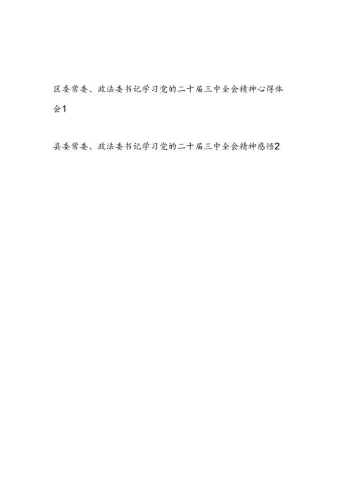 县区委常委政法委书记学习党的二十三中全会精神心得体会研讨发言2篇.docx