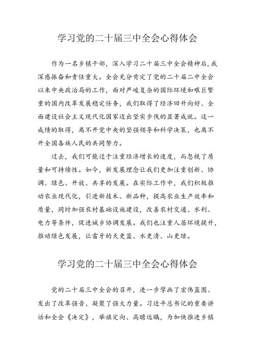 学习2024年学习党的二十三中全会个人心得感悟 （4份）81.docx