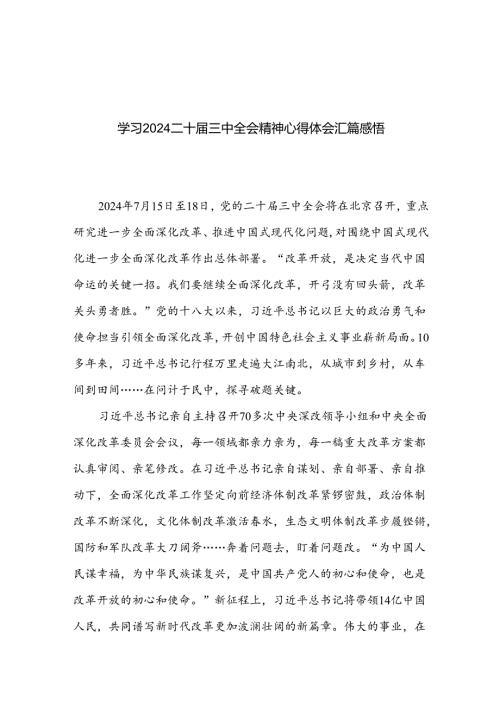 学习2024二十三中全会精神心得体会汇篇感悟.docx