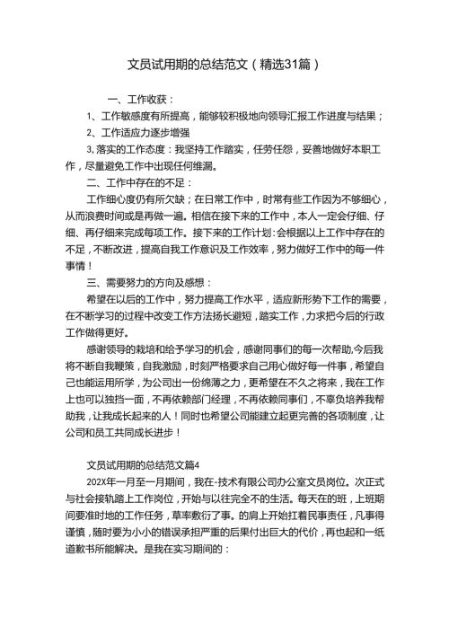 文员试用期的总结范文（精选31篇）.docx