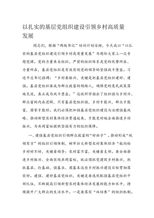 以扎实的基层党组织建设引领乡村高质量发展.docx