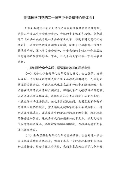 乡镇副镇长学习党的二十三中全会精神心得体会研讨发言3篇.docx