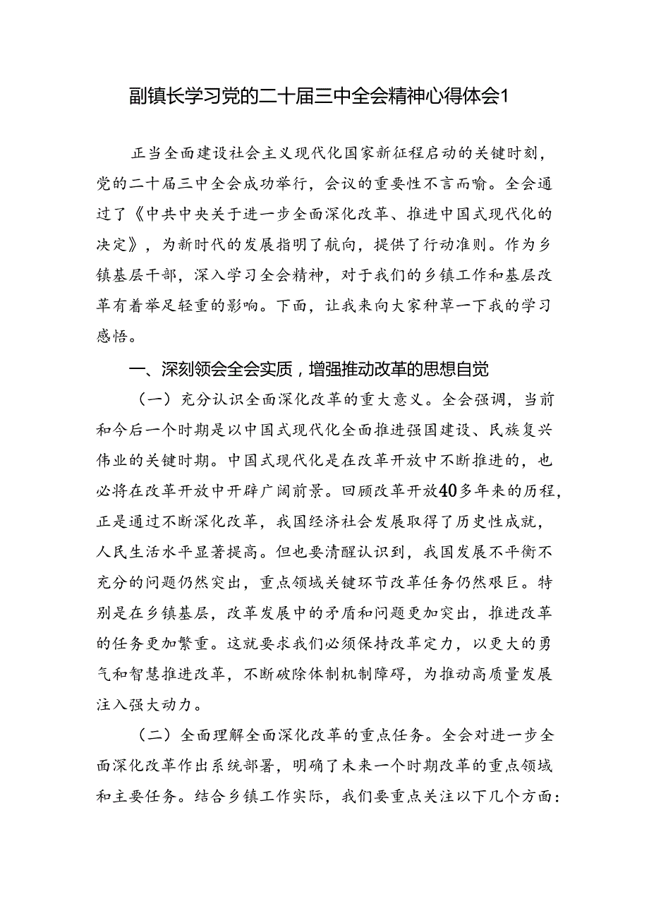 乡镇副镇长学习党的二十三中全会精神心得体会研讨发言3篇.docx_第1页