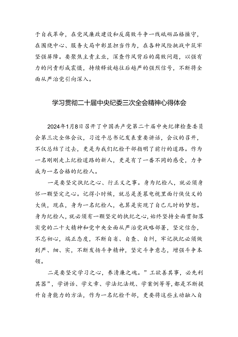 学习二十中央纪委三次全会重要讲话精神心得体会四篇（最新版）.docx_第3页