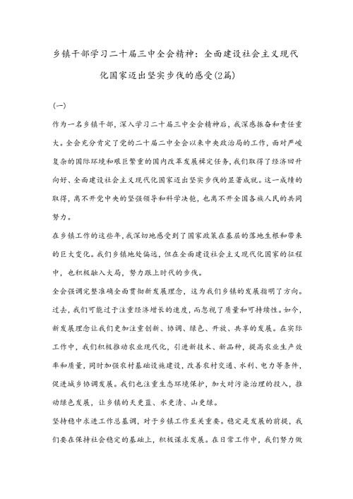 （2篇）乡镇干部学习二 十三 中全会精神：全面建设社会主义现代化国家迈出坚实步伐的感受.docx