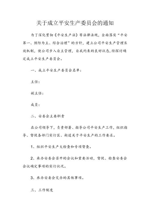 安委会成立文件.docx