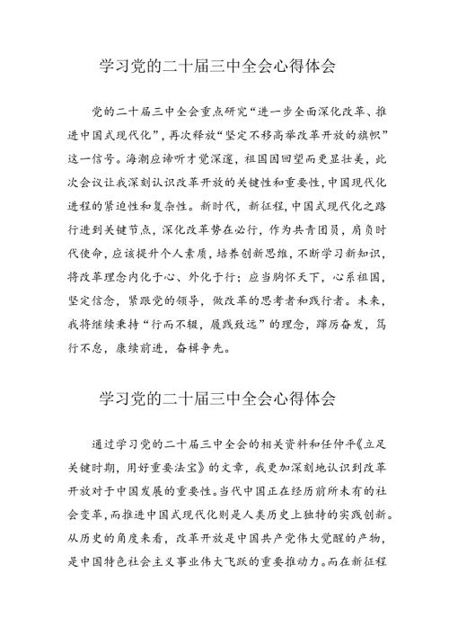 学习2024年党的二十三中全会心得体会 （汇编10份）.docx