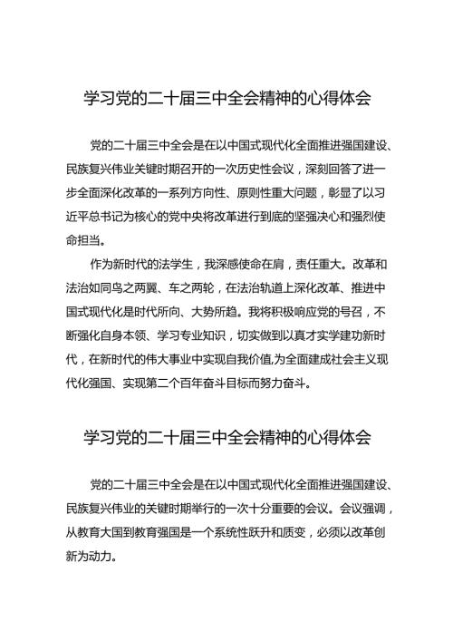 2024年党的二十三中全会精神学习体会合辑三十篇.docx