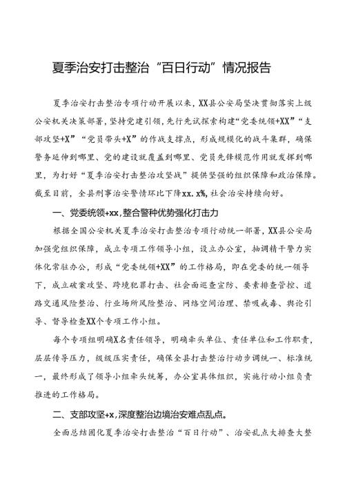 公安夏季治安打击整治工作总结报告(6篇).docx