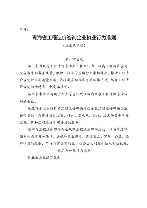 青海省工程造价咨询企业执业行为准则（征.docx