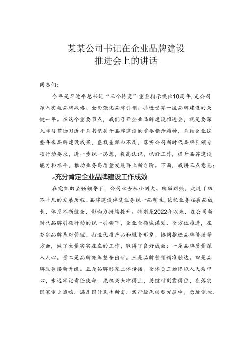 某某公司书记在企业品牌建设推进会上的讲话.docx
