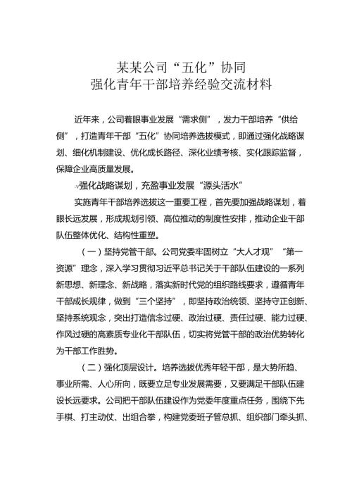 某某公司“五化”协同强化青年干部培养经验交流材料.docx