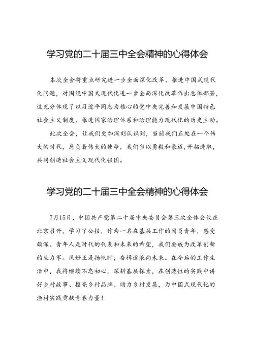 学习二十三中全会精神的心得体会简要发言31篇.docx
