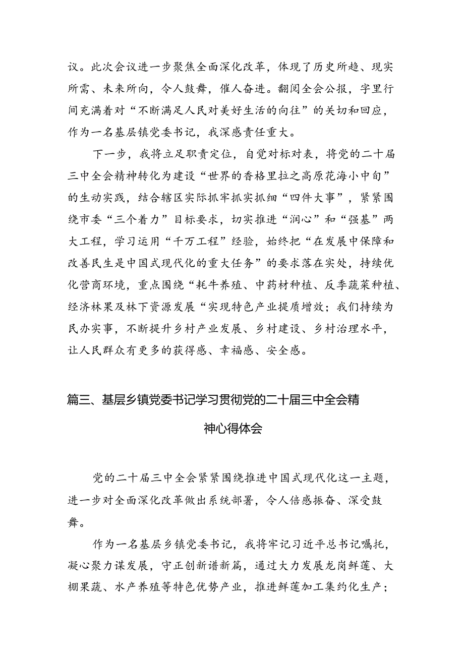 乡党委书记学习贯彻党的二十三中全会精神心得体会【12篇】(1).docx_第3页