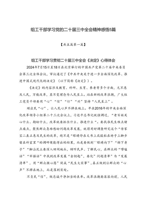 2024组工干部学习党的二十三中全会精神（含《决定》）心得体会研讨发言感悟5篇.docx